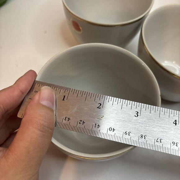 Vtg compote service Riga Porcelain PFF Stamps For 4 Servings Hand painted Apples - Picture 13 of 16